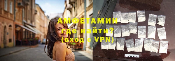 прущие грибы Верхний Тагил